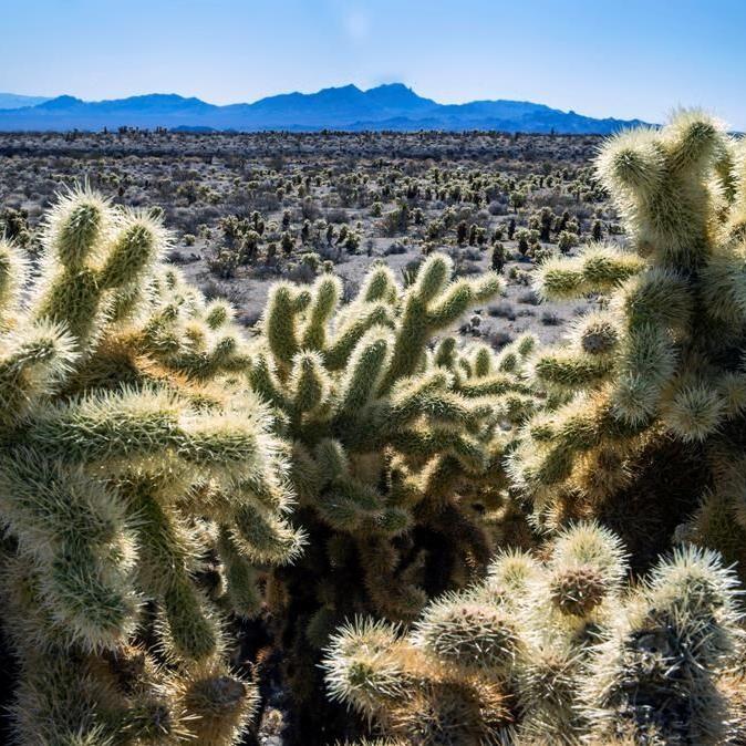 Biden creates national monuments in Nevada, Texas mountains